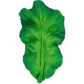 Oli&carol Mordedor Kendall The Kale
