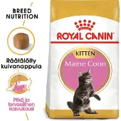 Royal Canin Maine Coon Kitten - 2 kg