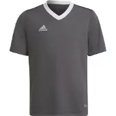 Adidas adidasCamiseta Entrada 22 116 Team Grey Four Niño
