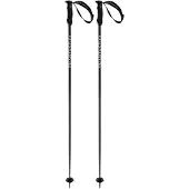 Völkl Bastones Phantastick Iii