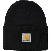 Carhartt WIP Gorra miel / negro / blanco