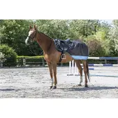 Equithème E-TH.600D, riñón, membrana basal/grado 165