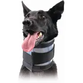 Kvp Collar Para Perro Bite Free