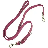 Gloria Correa Para Perro Multi Oasis