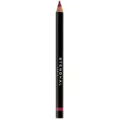 Stendhal Delineador De Labios Crayon Lèvres Précision 303