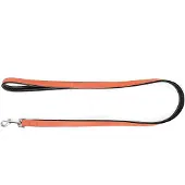 Gloria Correa Para Perro Leather Padded