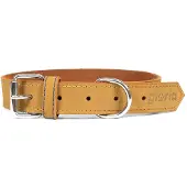 Gloria Collar Para Perro Oasis