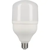 EDM Bombilla Led Industrial E27 6400k 20w 1700 Lumens