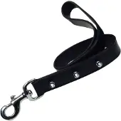 Gloria Correa Para Perro Spiked