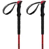 Ferrino Bastones Stick Nuptse