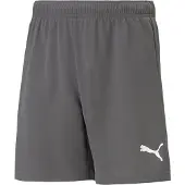 Puma Pantalón deportivo 'TeamRise' gris / blanco