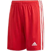 Adidas Pantalones Cortos Squadra 21