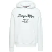 Tommy Hilfiger Sudadera 'Logo Embroidery' navy / rojo / blanco