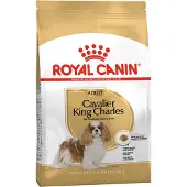 Royal Canin Cavalier King Charles Adult - 1,5 kg
