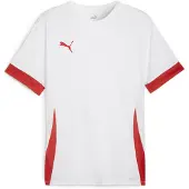 Puma Camiseta funcional 'TeamGoal Matchday' rojo / blanco