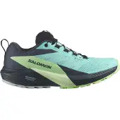 Salomon Zapatillas De Trail Running Sense Ride 5 Gore-tex