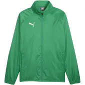Puma Chaqueta deportiva 'TeamGoal' verde / blanco
