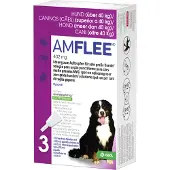 Amflee Spot-on Perro - 40-60 kg - 3 pipetas