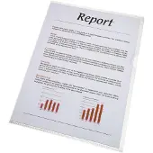 Esselte Carpeta De Dossier 31p A4 Pp 110 Micras 100 Unidades