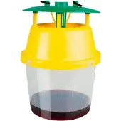 Masso Trampa Para Avispa Asiática 231609