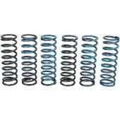 TRW Kit De Muelles De Embrague Mef313-6