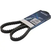 DAYCO Correa De Transmisión Honda Wallaroo 50