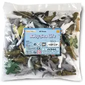 Safari Ltd Figura Baby Sea Life Bulk Bag