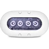 Ocean Led Luz Led X4 9-32v