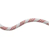 Mammut Cuerda 11.0 Performance Static