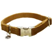 Kentucky Collar Para Perro Velvet