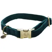Kentucky Collar Para Perro Velvet