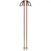 Salomon Bastones Polar