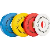 Lattice - Fractional Weight Plates multi coloured