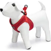 Beeztees Arnés Para Perros Premium Parinca Stepin