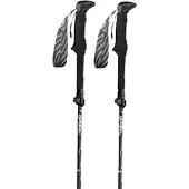 Gabel Bastones Hybrid Carbon Xts