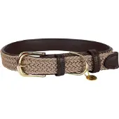 Kentucky Collar Para Perro Nylon Plaited
