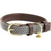 Kentucky Collar Para Perro Nylon Plaited