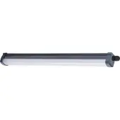 Philips , Resistente al agua, Empotrado, 1 bombilla, 4000 K, IP65, Gris