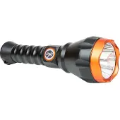 Pni Linterna F550 10w