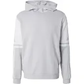 Adidas adidasSudadera con capucha Squadra 25 XS Team Light Grey / White Hombre