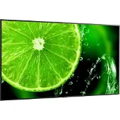 NEC Monitor Multisync E758 75´´ 4k Led