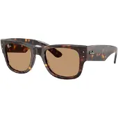 Ray-Ban Gafas de sol '0RB0840S' marrón / marrón oscuro