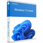 Microsoft Sistema Operativo Ms Sb Windows 11 Home 64bit Fr