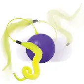 Kong Purrsuit Whirlwind