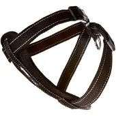 EzyDog Arnés De Neopreno Para Perro