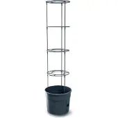 Prosperplast Maceta Tomatoes 29.5x29.5x 31.5-153 Cm