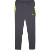 Puma Pantalón deportivo 'IndividualCUP' gris / lima