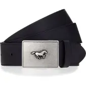 Mustang Cinturón negro