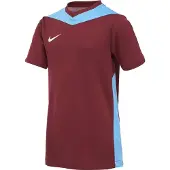 Nike Camiseta funcional azul cielo / rojo carmesí / blanco