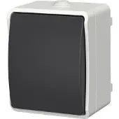EverFlourish Interruptor de palanca Aquatop - 250V, 10A